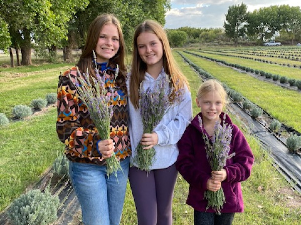 a group of people that are standing in the grass holding lavender plants